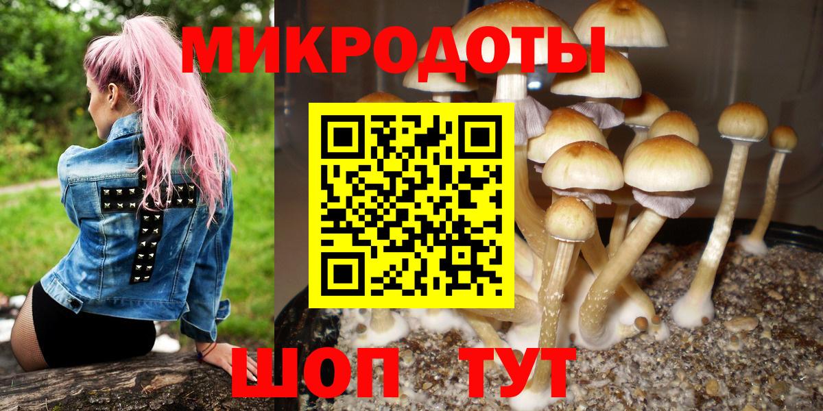 Надым  Галлюциногенные грибы Psilocybine cubensis  Вход с VPN 